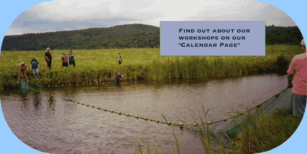 Preparing Your Pond for Winter workshop event banner