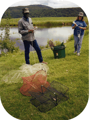 Fishing net used for pond harvesting